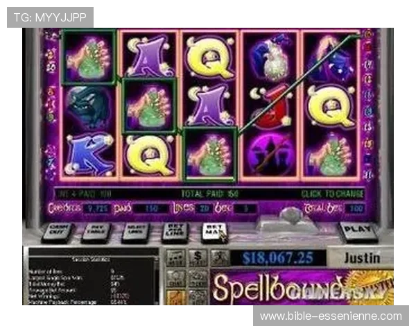 Wild老虎机带你体验极致刺激的娱乐盛宴，开启无限精彩的游戏之旅