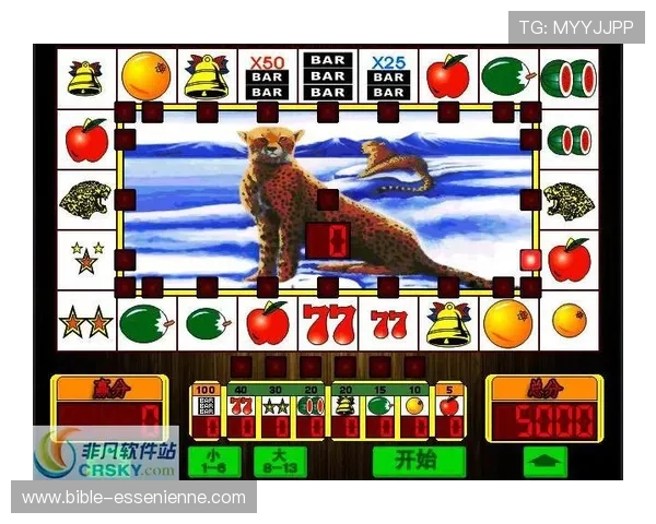 掌握老虎机赚钱技巧，轻松应对不同类型的老虎机游戏