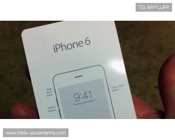 水果老虎机开户下载官网，详细步骤帮助新手快速上手